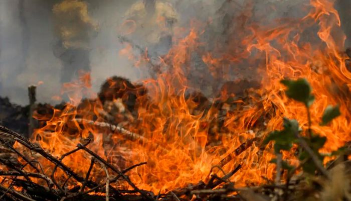 Quase 1/4 do território brasileiro pegou fogo nos últimos 40 anos